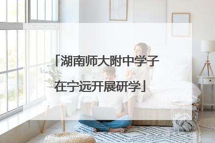 湖南师大附中学子在宁远开展研学