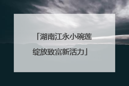湖南江永小碗莲绽放致富新活力