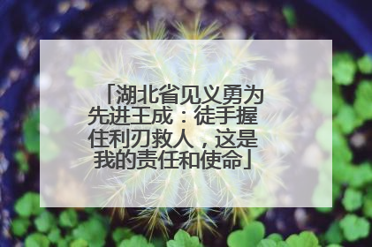 湖北省见义勇为先进王成：徒手握住利刃救人，这是我的责任和使命