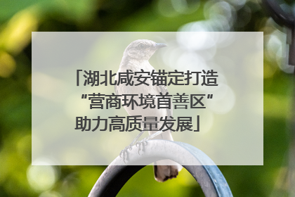 湖北咸安锚定打造“营商环境首善区”助力高质量发展
