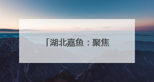 湖北嘉鱼：聚焦痛点破难题 创新实干优环境