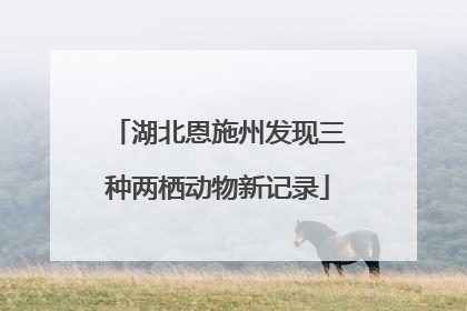 湖北恩施州发现三种两栖动物新记录