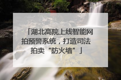 湖北高院上线智能网拍预警系统，打造司法拍卖“防火墙”