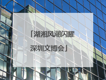 湖湘风潮闪耀深圳文博会