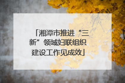 湘潭市推进“三新”领域妇联组织建设工作见成效