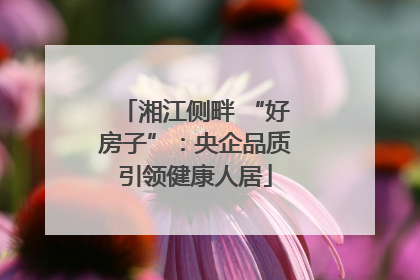 湘江侧畔 “好房子”：央企品质引领健康人居