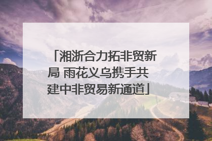 湘浙合力拓非贸新局 雨花义乌携手共建中非贸易新通道