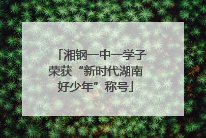 湘钢一中一学子荣获“新时代湖南好少年”称号
