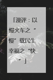 漫评：以慢火车之“慢”载民生幸福之“快”