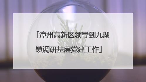 漳州高新区领导到九湖镇调研基层党建工作