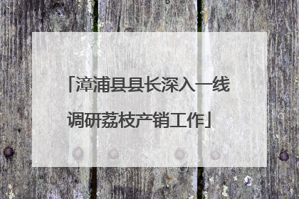 漳浦县县长深入一线调研荔枝产销工作