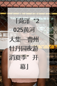 菏泽“2025黄河大集—曹州牡丹园夜游消夏季”开幕