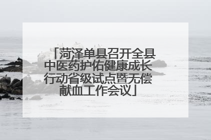 菏泽单县召开全县中医药护佑健康成长行动省级试点暨无偿献血工作会议
