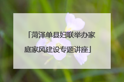 菏泽单县妇联举办家庭家风建设专题讲座
