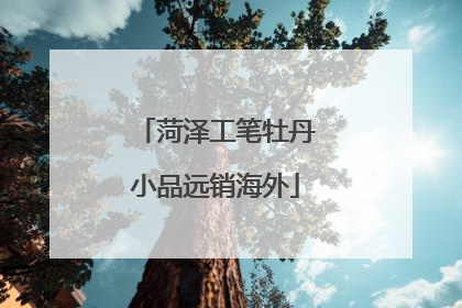 菏泽工笔牡丹小品远销海外
