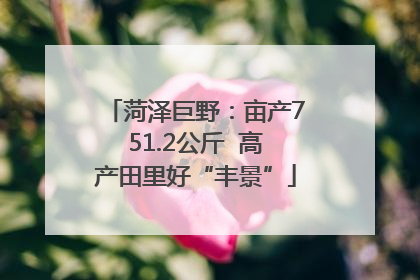 菏泽巨野：亩产751.2公斤  高产田里好“丰景”