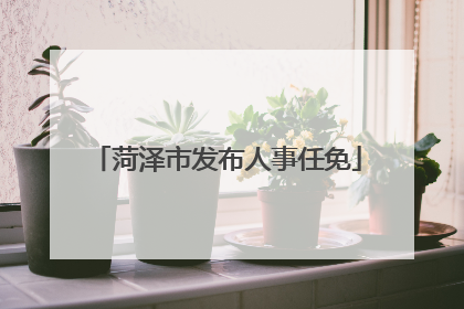 菏泽市发布人事任免