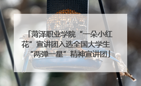 菏泽职业学院“一朵小红花”宣讲团入选全国大学生“两弹一星”精神宣讲团