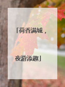 荷香满城，夜游添趣