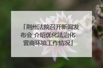 荆州法院召开新闻发布会 介绍优化法治化营商环境工作情况