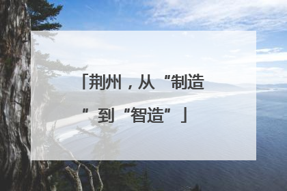 荆州，从“制造”到“智造”