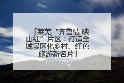 莱芜“齐鲁情 映山红”片区：打造全域景区化乡村、红色旅游新名片