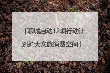聊城启动12项行动计划扩大文旅消费空间