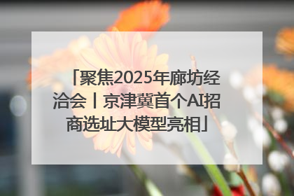 聚焦2025年廊坊经洽会丨京津冀首个AI招商选址大模型亮相