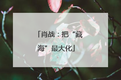 肖战：把“藏海”最大化