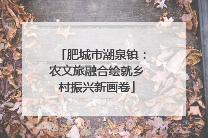肥城市潮泉镇：农文旅融合绘就乡村振兴新画卷