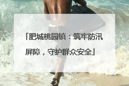 肥城桃园镇：筑牢防汛屏障，守护群众安全