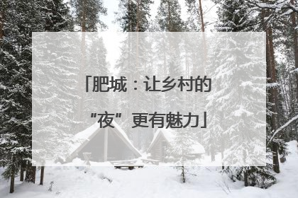 肥城：让乡村的“夜”更有魅力