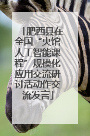 肥西县在全国“央馆人工智能课程”规模化应用交流研讨活动作交流发言