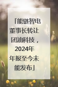 能链智电董事长转让团油科技，2024年年报至今未能发布