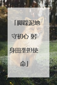 脚踩泥地守初心 躬身田垄担使命