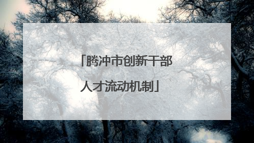 腾冲市创新干部人才流动机制