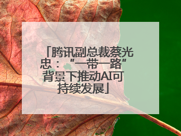 腾讯副总裁蔡光忠：“一带一路”背景下推动AI可持续发展