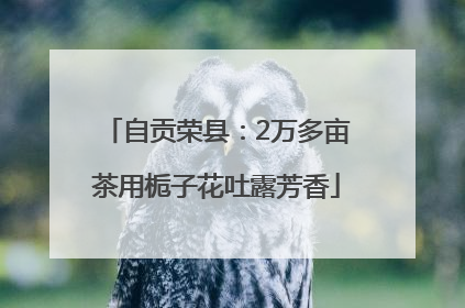 自贡荣县：2万多亩茶用栀子花吐露芳香