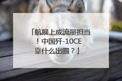 航展上成流量担当！中国歼-10CE靠什么出圈？