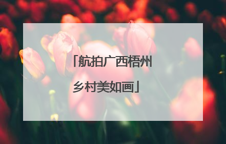 航拍广西梧州乡村美如画