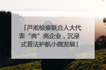 芦淞检察联合人大代表“典”亮企业，沉浸式普法护航小微发展