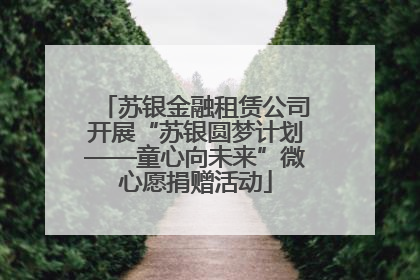 苏银金融租赁公司开展“苏银圆梦计划——童心向未来”微心愿捐赠活动
