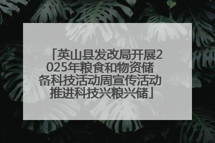 英山县发改局开展2025年粮食和物资储备科技活动周宣传活动 推进科技兴粮兴储