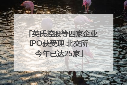 英氏控股等四家企业IPO获受理 北交所今年已达25家
