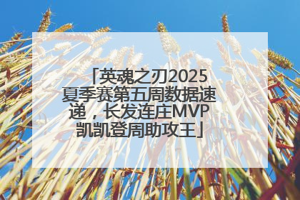 英魂之刃2025夏季赛第五周数据速递，长发连庄MVP凯凯登周助攻王