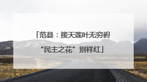 范县：接天莲叶无穷碧 “民主之花”别样红