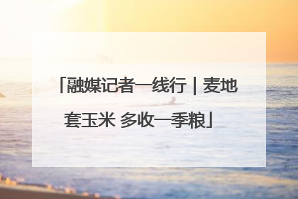 融媒记者一线行｜麦地套玉米 多收一季粮