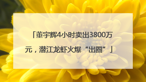 董宇辉4小时卖出3800万元，潜江龙虾火爆“出圈”