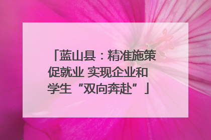 蓝山县：精准施策促就业 实现企业和学生“双向奔赴”
