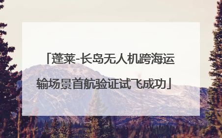 蓬莱-长岛无人机跨海运输场景首航验证试飞成功